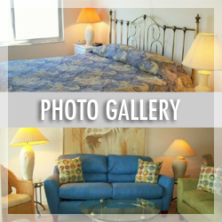 Photo Gallery